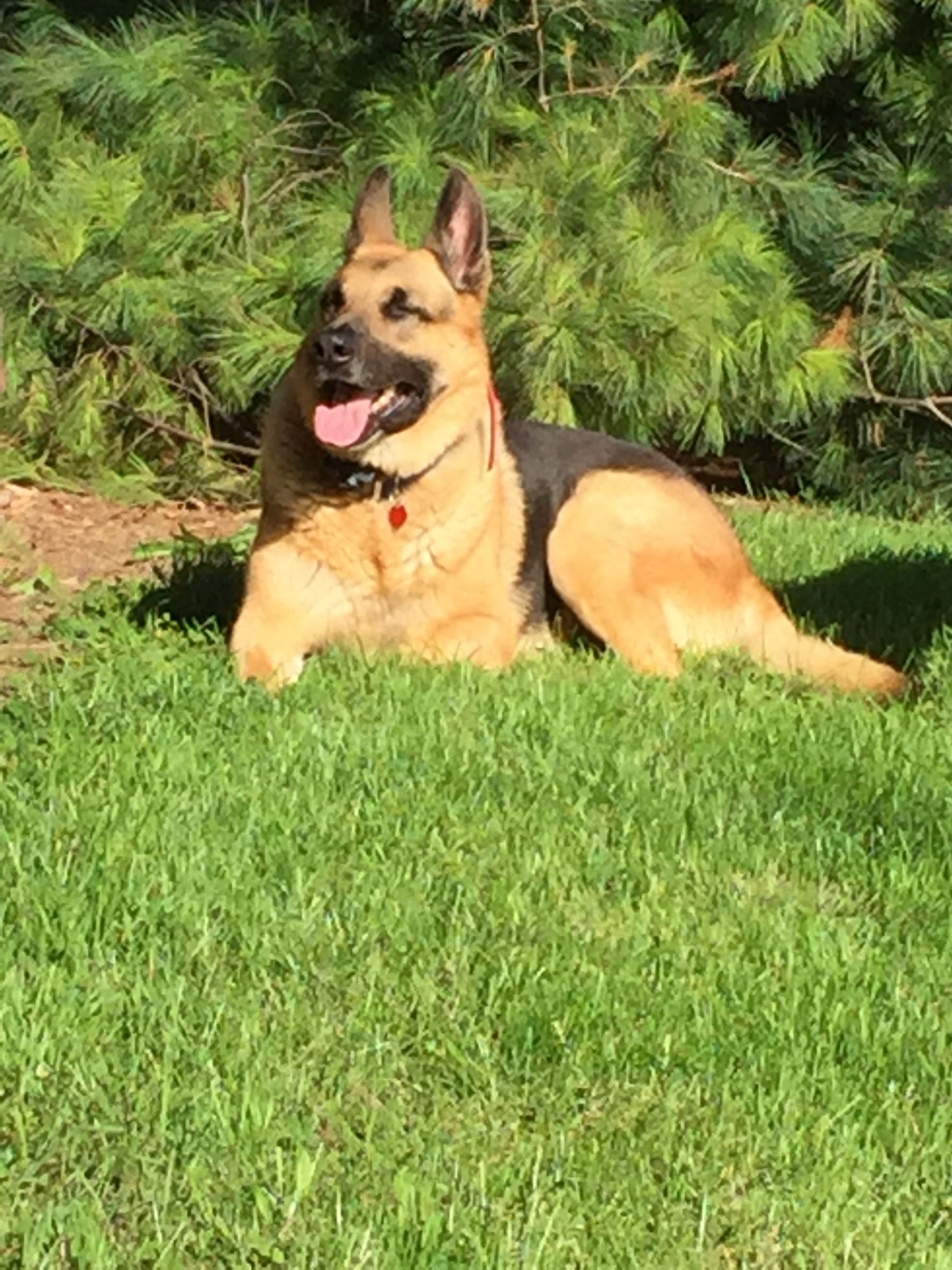 Jerry Lee